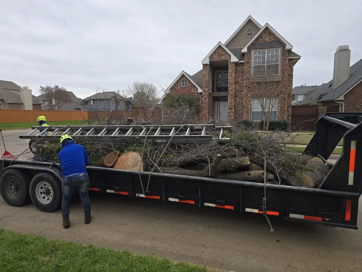 Expert Tree Pest Control with proper safety equipment in Isle Of Palms
